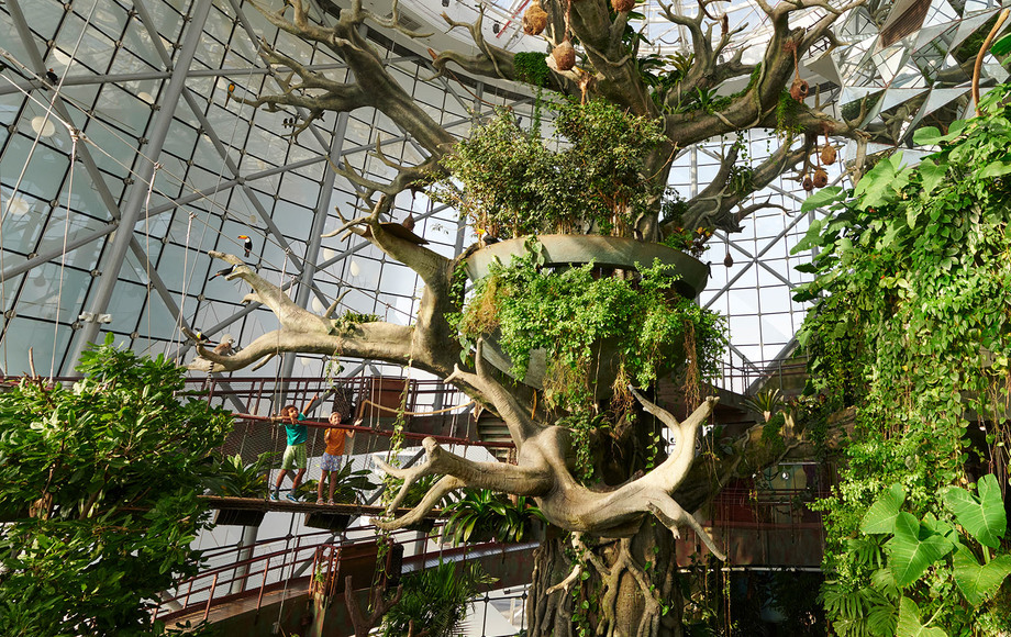 迪拜天气,绿色星球