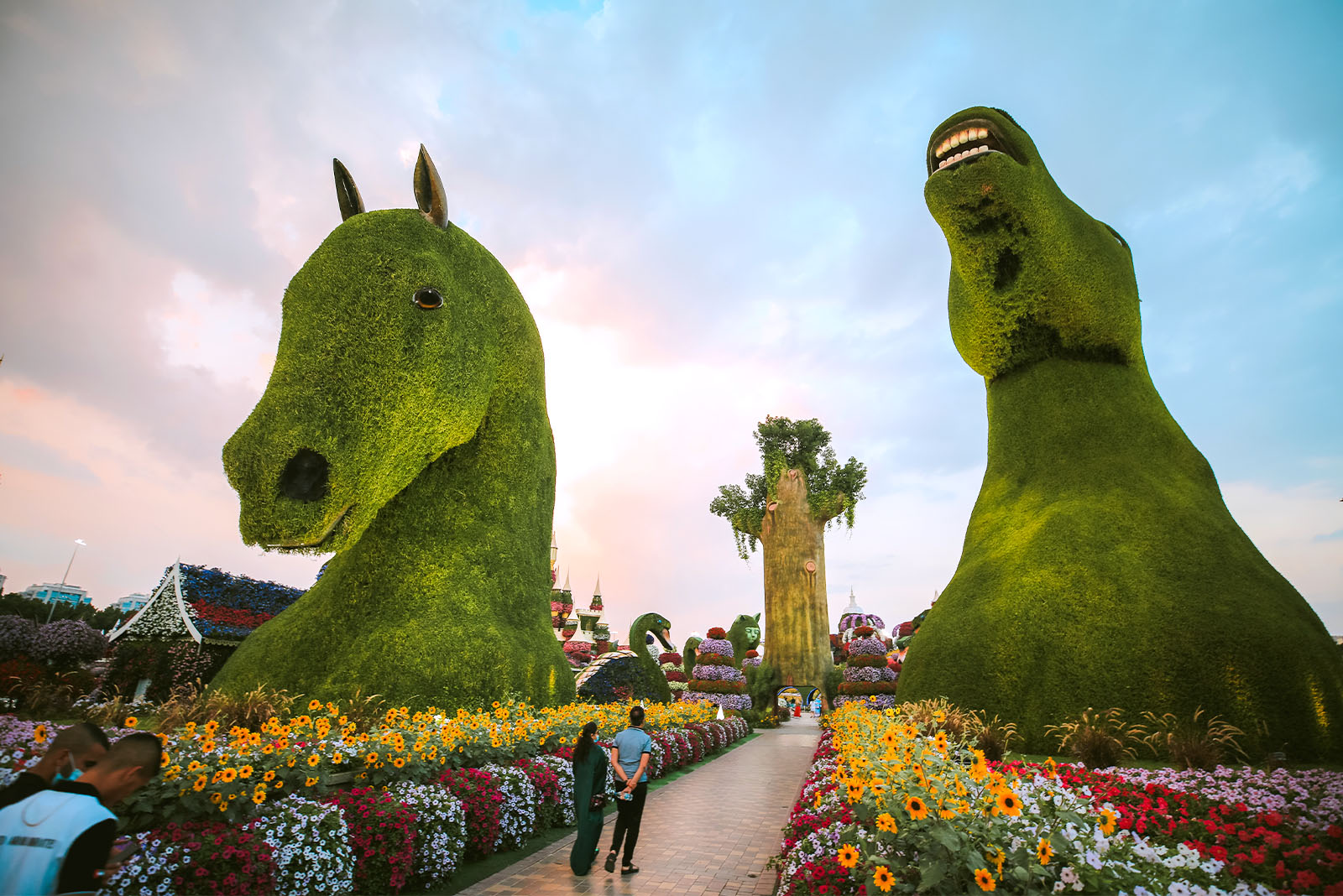迪拜天气,奇迹花园