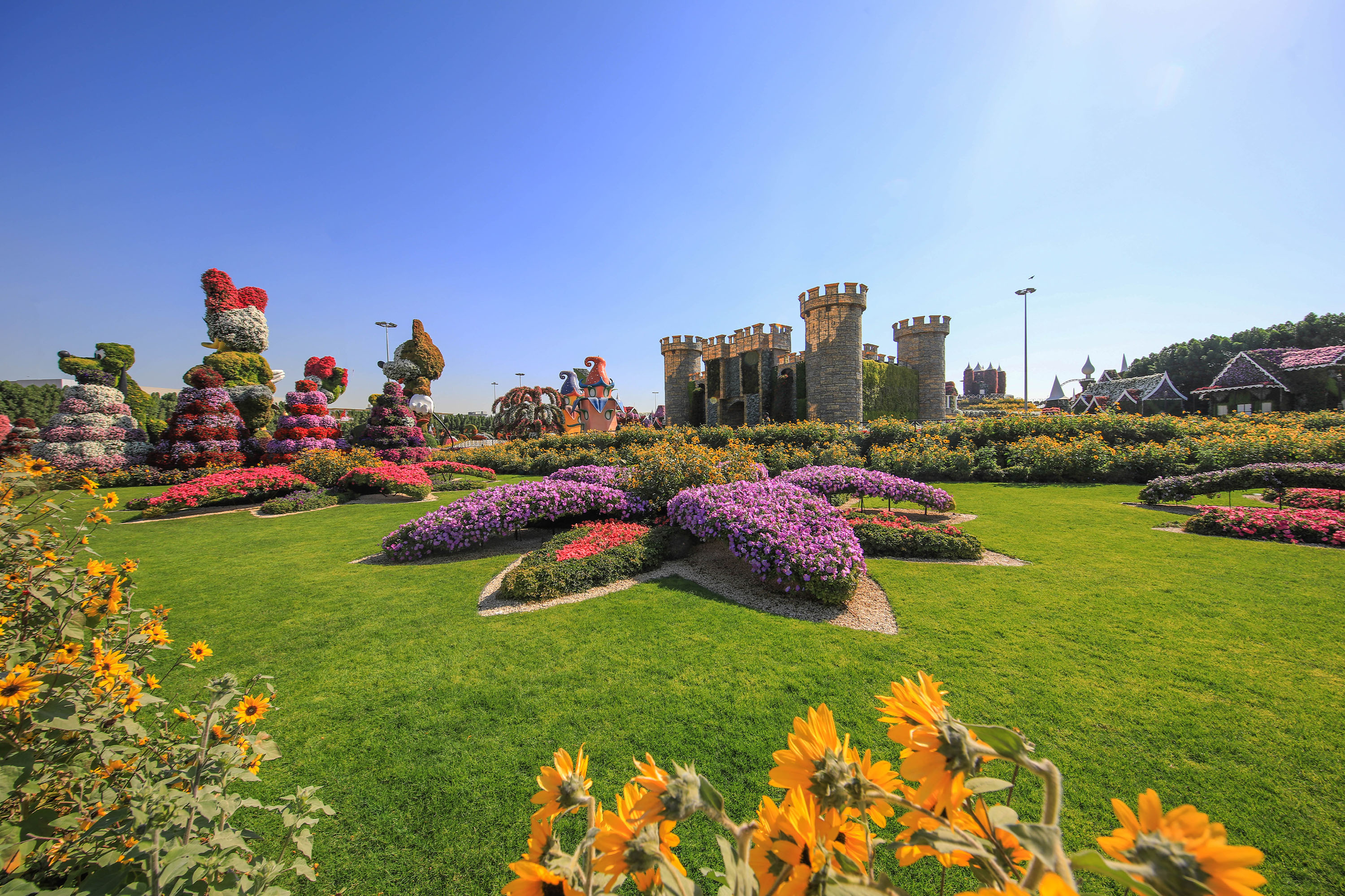 al-barsha-media-5-dtcm